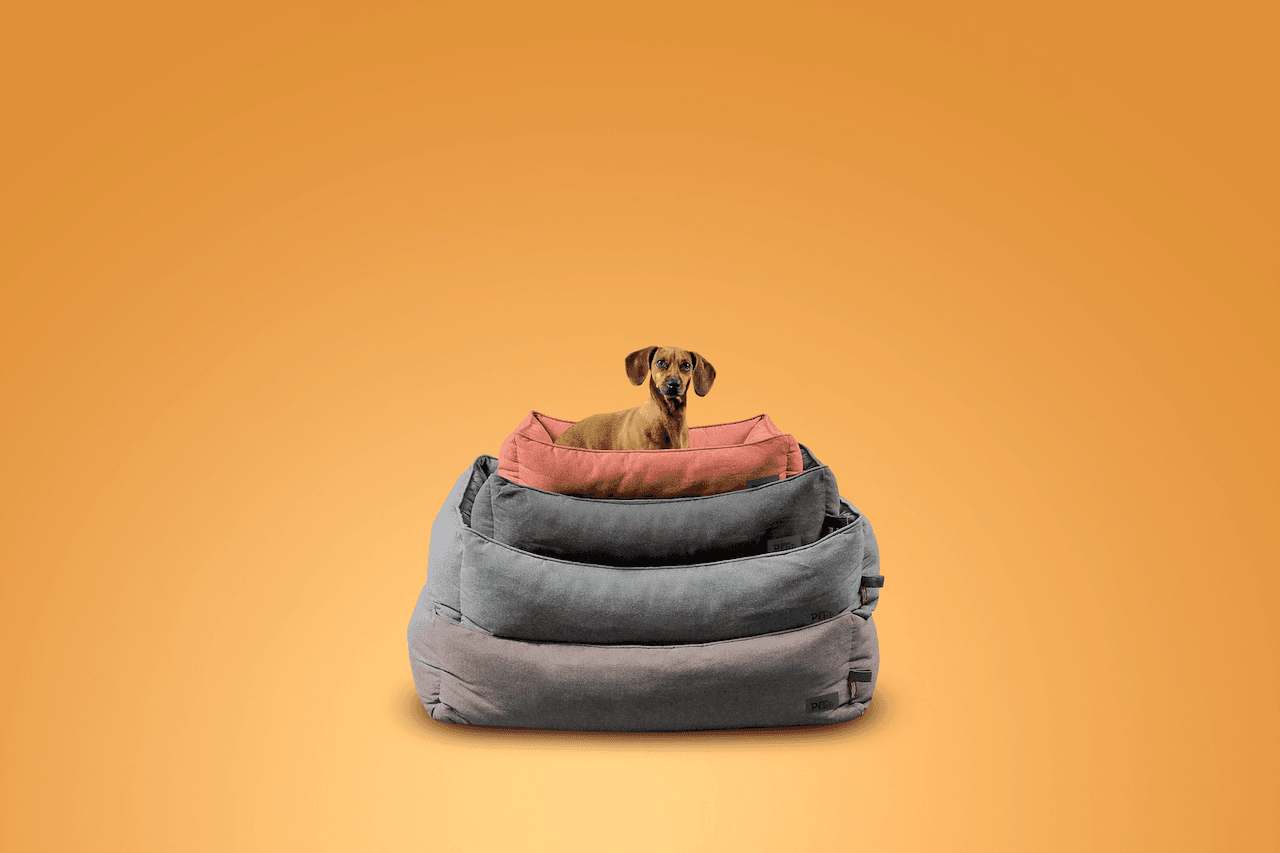 Crece la industria petcare: Rosen lanza línea de camas para mascotas