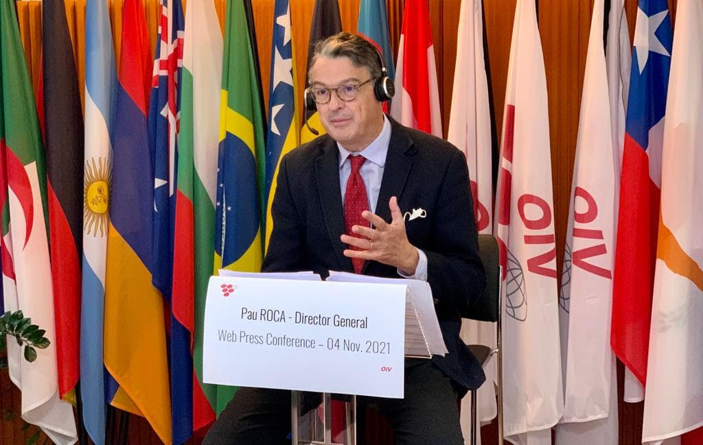 Chile alcanza su mayor volumen de producción de vino en 20 años