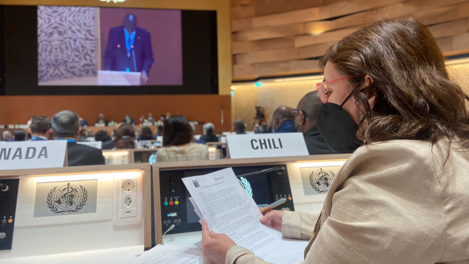 María Begoña Yarza, ministra de Salud, Chile en OMS