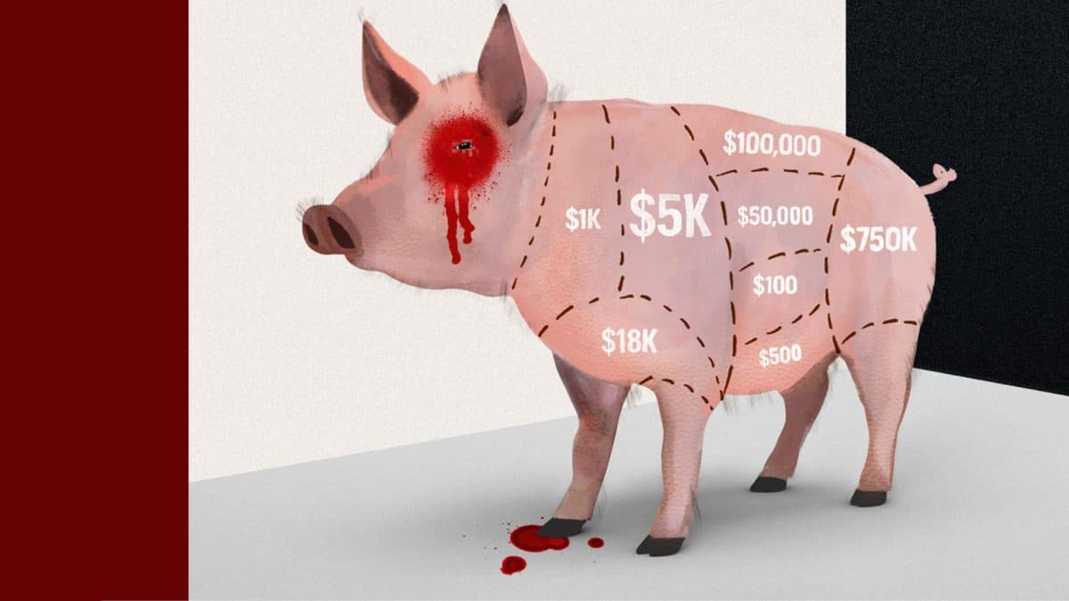 Pig Butchering: la superestafa con la que un hombre perdió más de US$ 1 millón