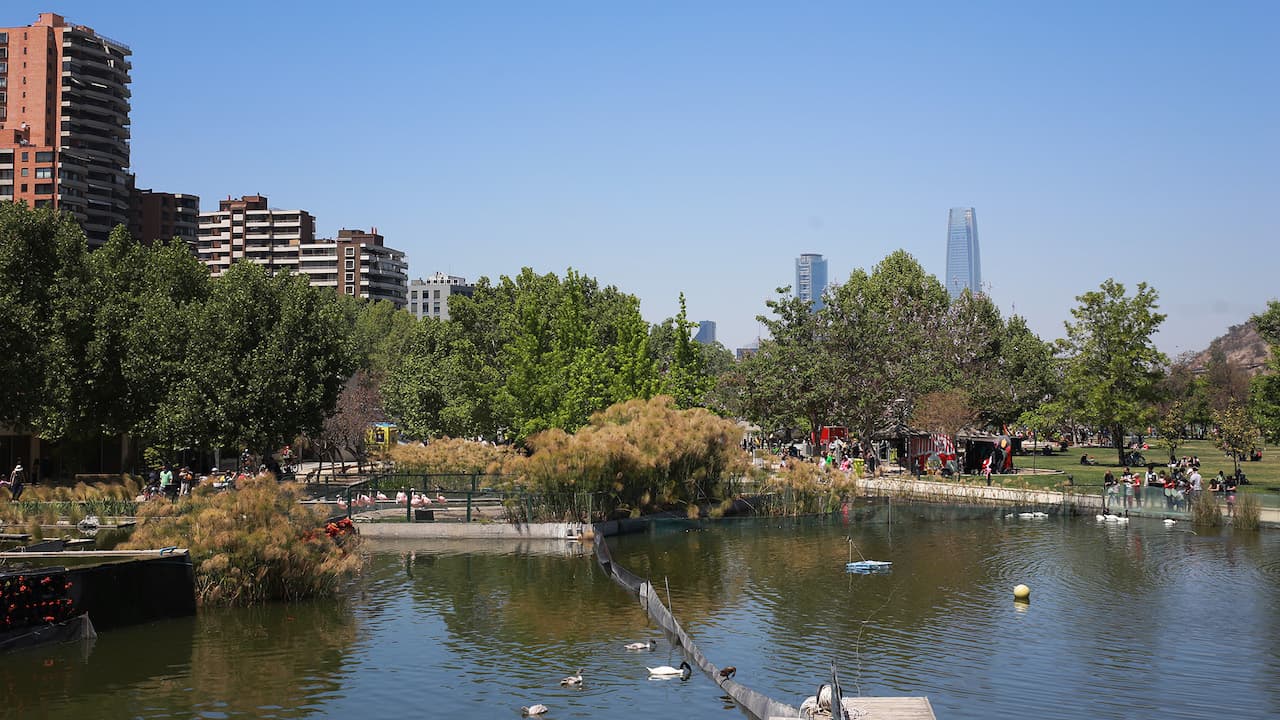 Plantar más árboles reduciría hasta en un tercio las muertes por el aumento de temperaturas en ciudades
