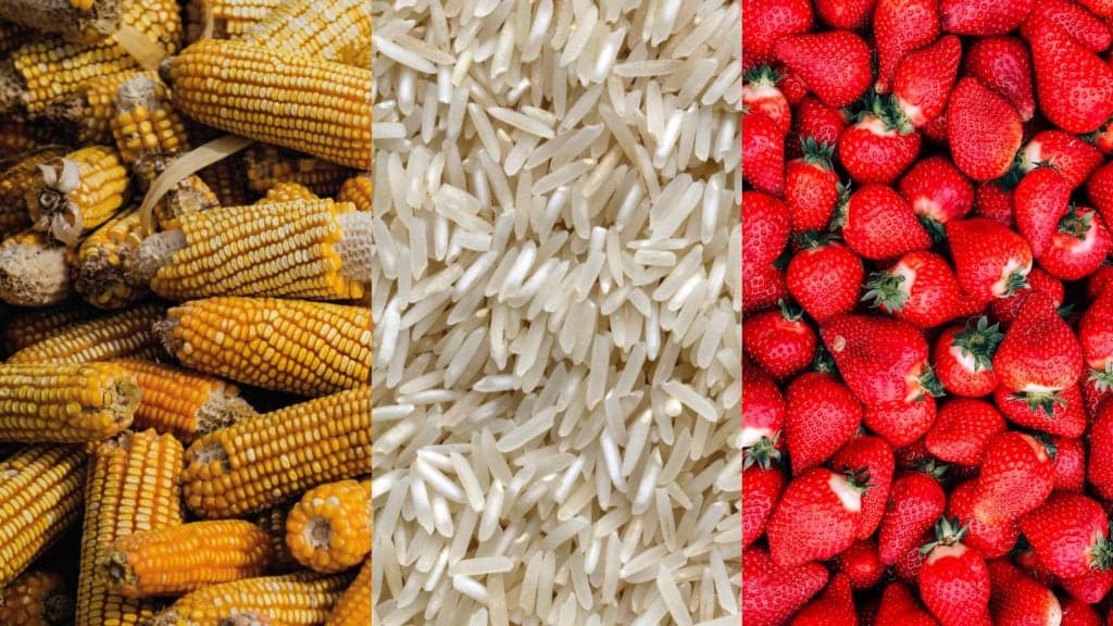 Precios de los alimentos caen