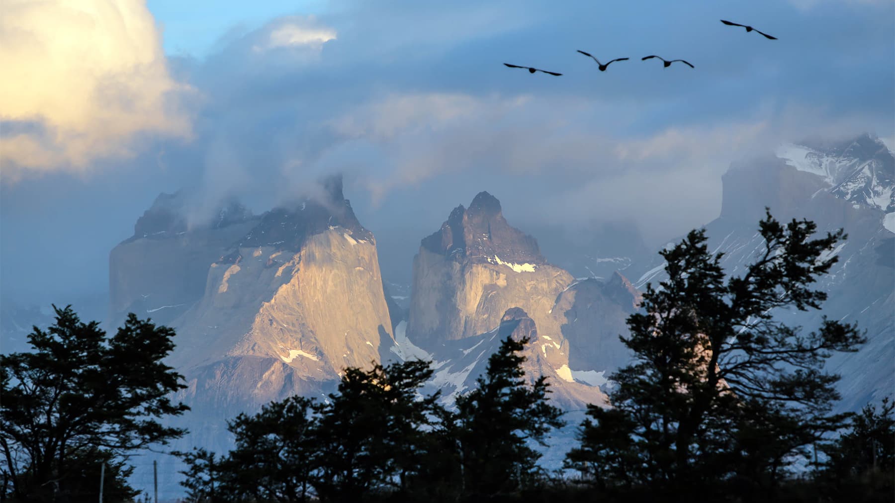 Patagonia chilena almacena casi el doble de carbono que los bosques de la Amazonía por hectárea, según estudio