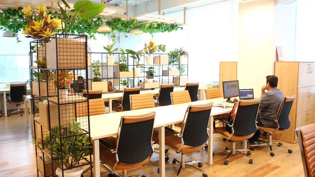 WeWork se hunde en bolsa tras advertir una posible quiebra