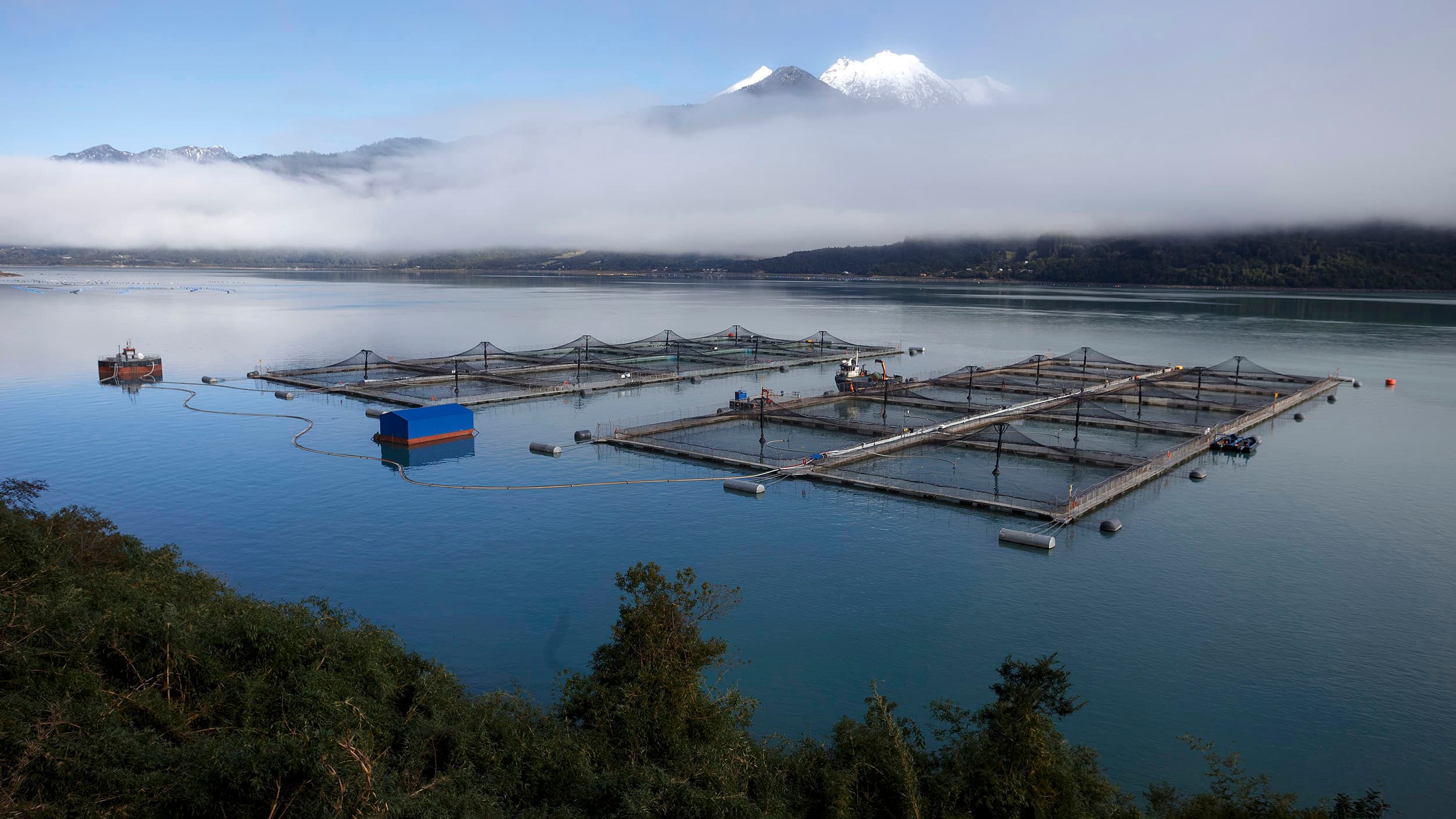 Chile y Sudáfrica firman un acuerdo de cooperación en pesca y acuicultura