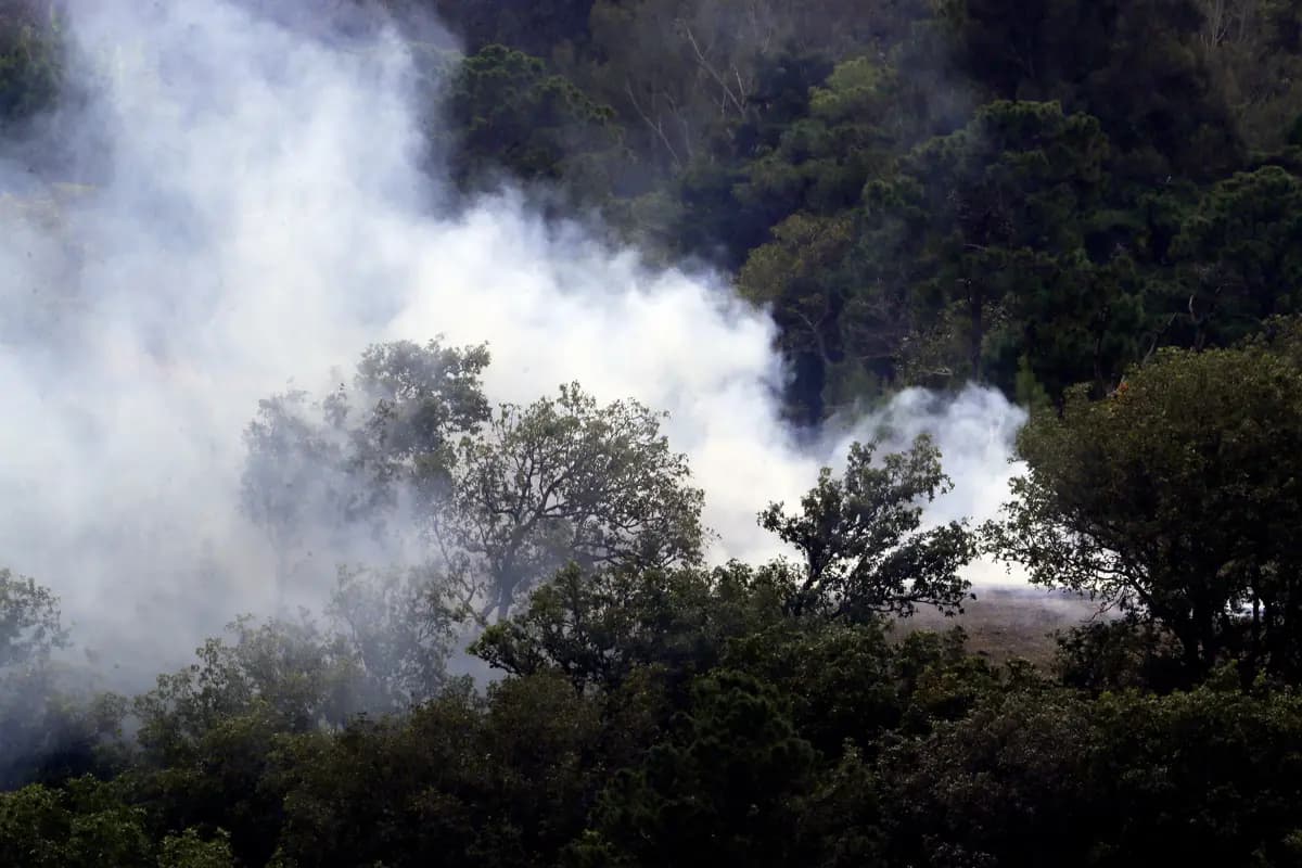 Gobierno colombiano publica el decreto de “desastre natural” por los incendios