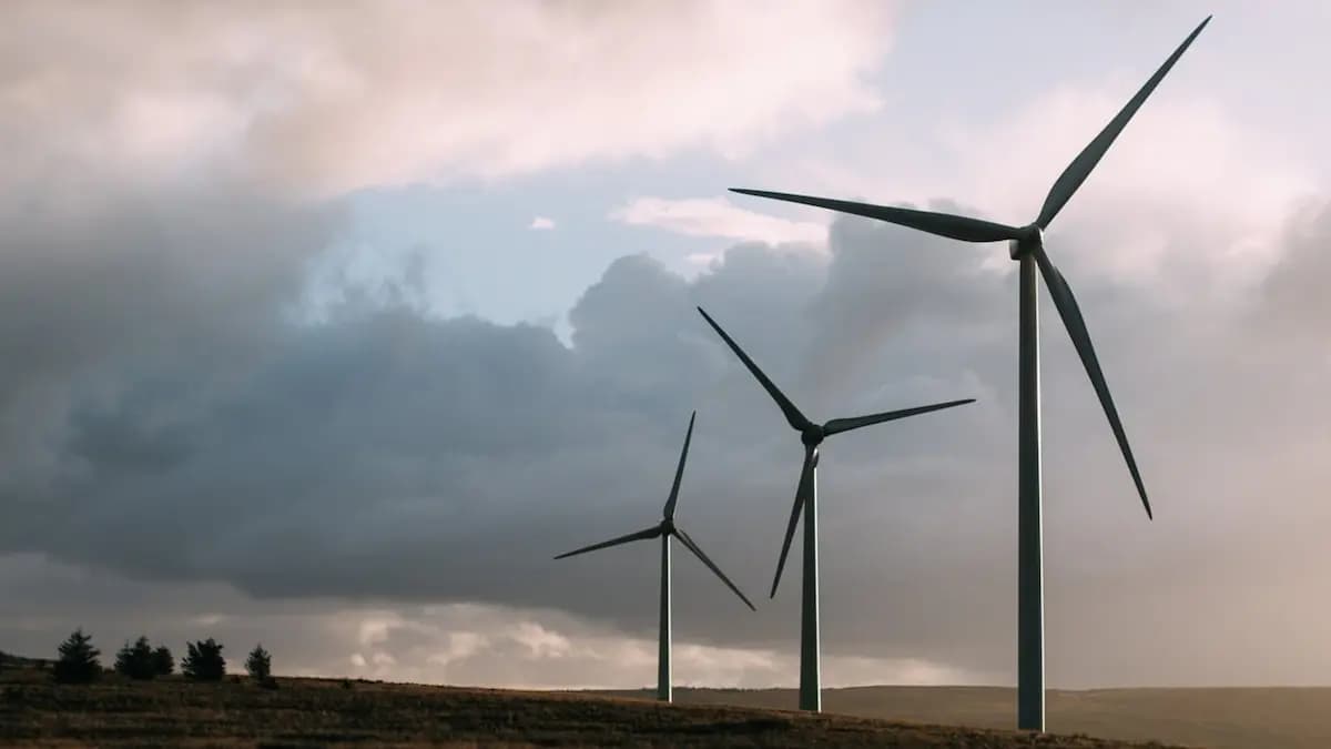 OCDE resalta crecimiento económico de Chile y recomienda potenciar desarrollo energético en el país