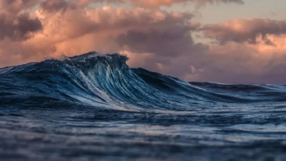 Los océanos baten récord de temperaturas todos los días desde hace un año