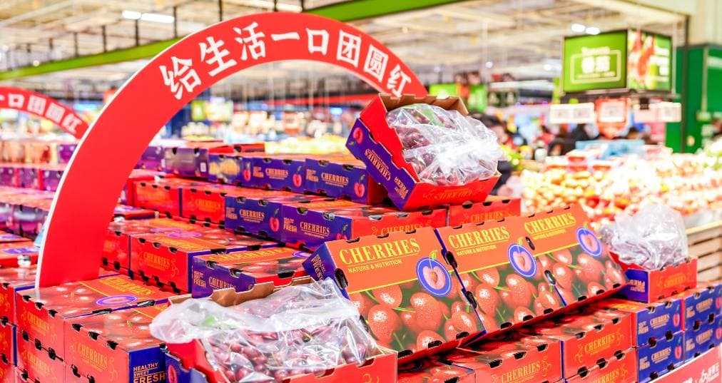 Crisis de cereza chilena: de la celebración por aumento de exportaciones a desplome de precios en China