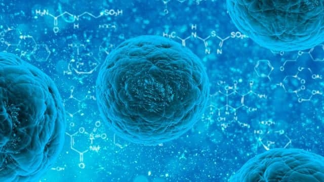 Estudio identifica potencial de riesgo de miles de mutaciones de un gen del cáncer