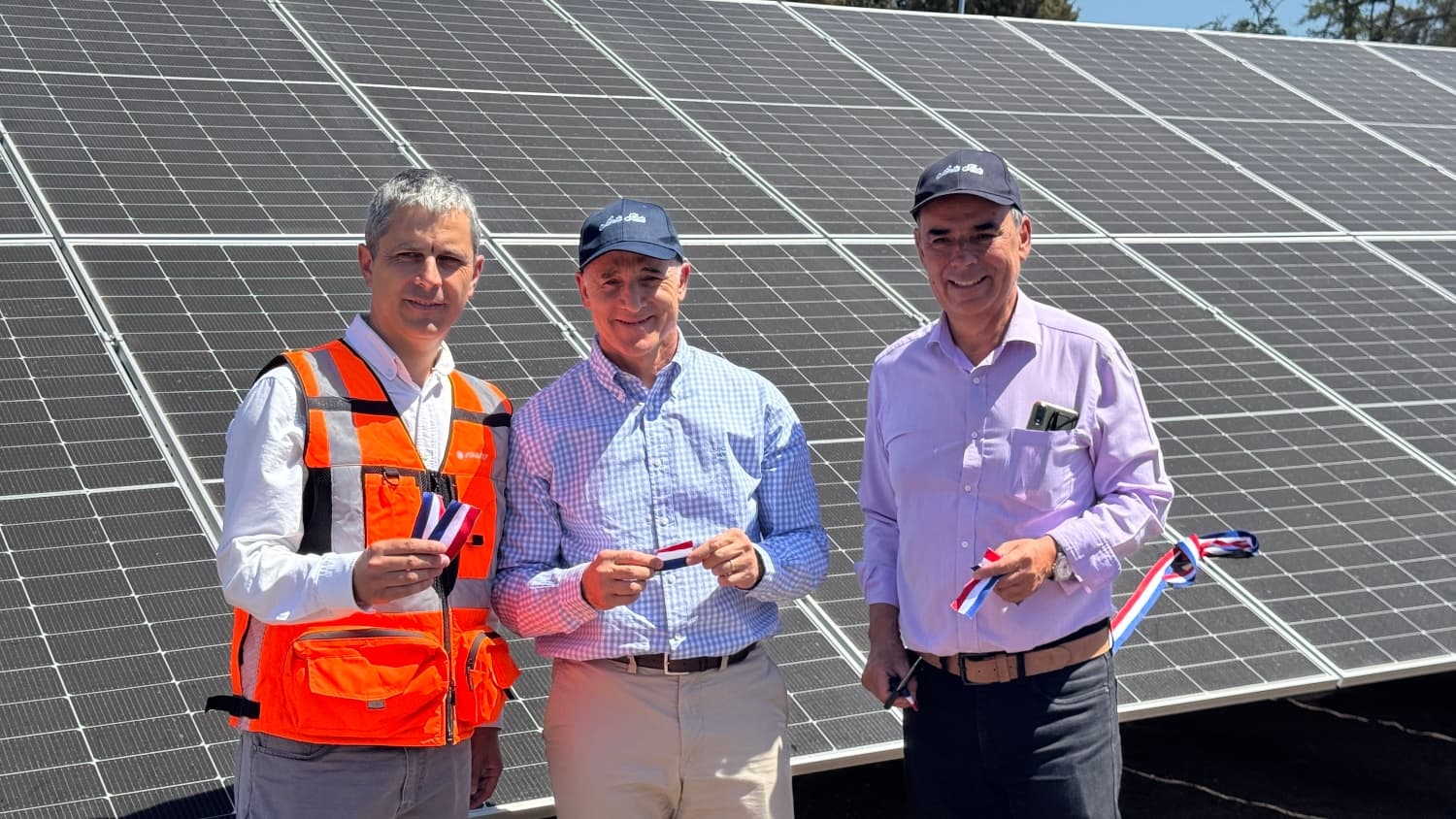 Viña Santa Rita inaugura su primera planta solar