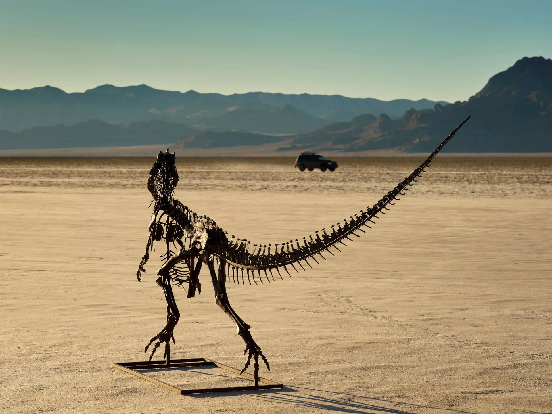 Subastarán un Ceratosaurus en Nueva York, único ejemplar juvenil conocido de esta especie