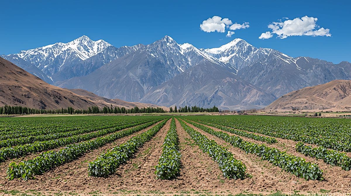 Chile es el líder en Latinoamérica en avances de la agricultura digital sostenible, según estudio