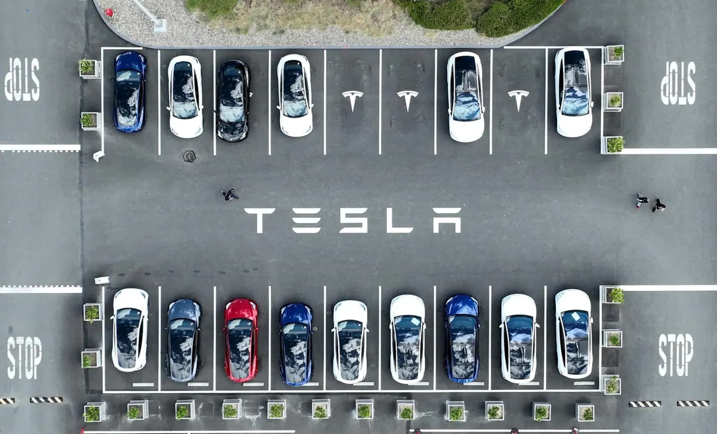 California afirma que Tesla engañó a los consumidores con sus afirmaciones sobre la conducción autónoma