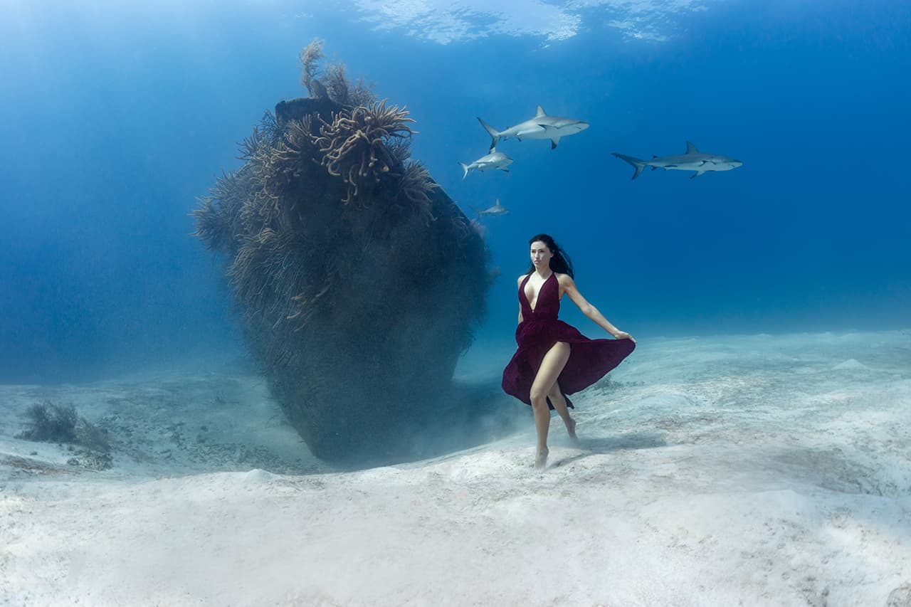 Pía Oyarzún: la fotógrafa que domina las profundidades del mar