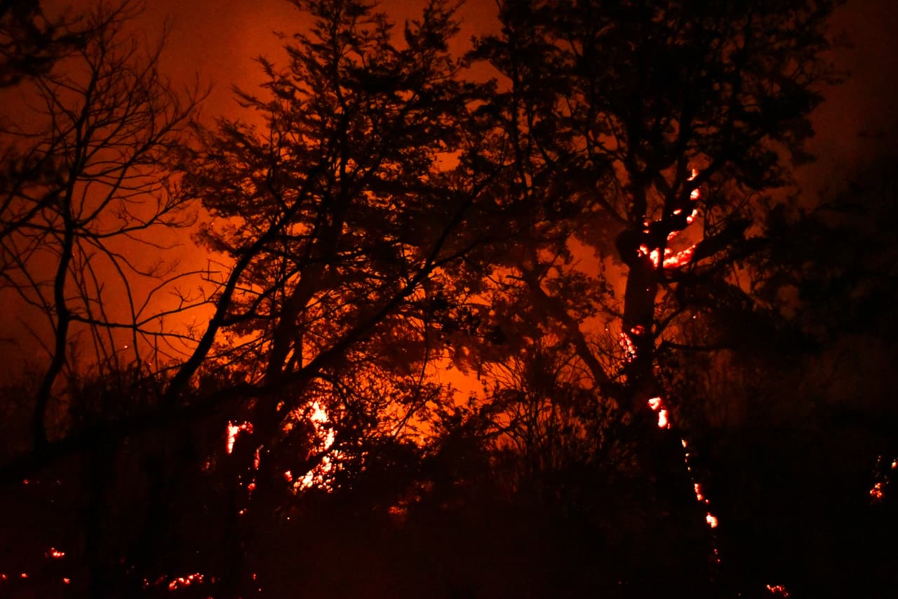Pérdidas aseguradas por desastres naturales superaron los 107.000 millones de dólares a nivel global en 2025, según estudio