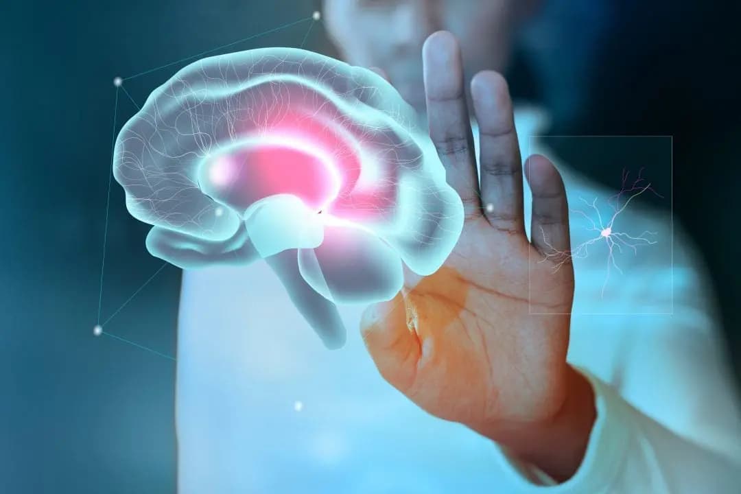 Neuralink planea fabricar implantes cerebrales a gran escala en 2026