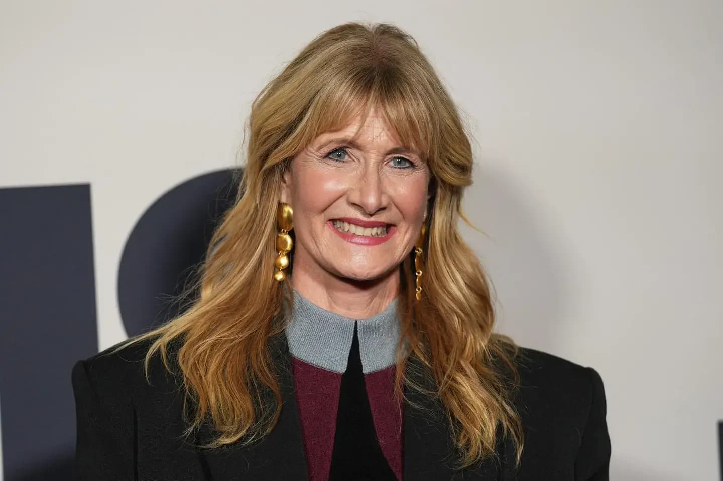 Sony está desarrollando una serie de televisión sobre la investigación del caso Epstein protagonizada por Laura Dern, según un informe