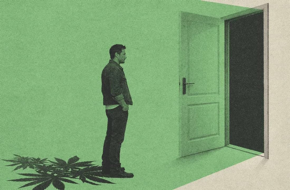 Marihuana reclasificada: el umbral verde