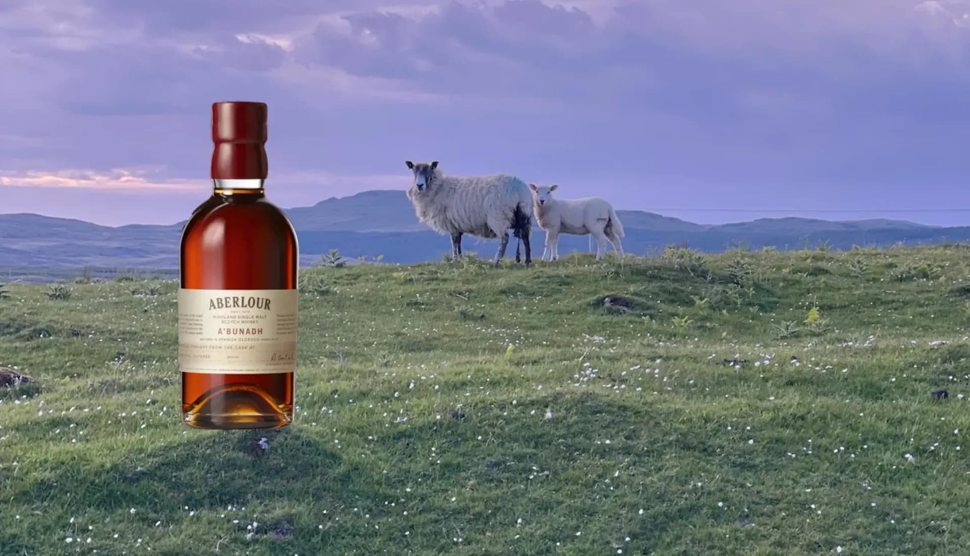 El whisky escocés que Forbes destacó entre los mejores del mundo en 2026
