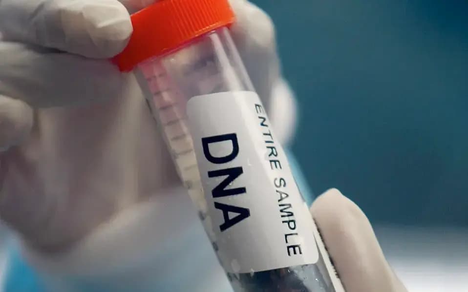 Científicos entrenaron un modelo de IA con ADN, y este inventó 16 nuevos virus